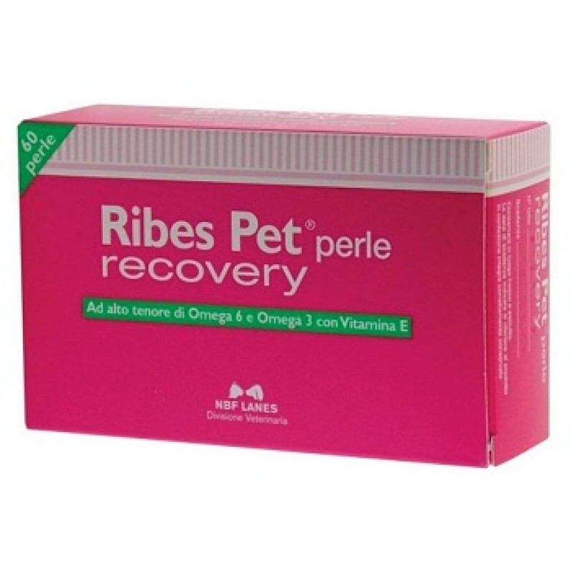 RIBES PET RECOVERY 60 PERLE