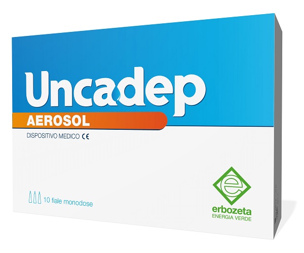 Image of UNCADEP AEROSOL 10 FIALE DA 2 ML 